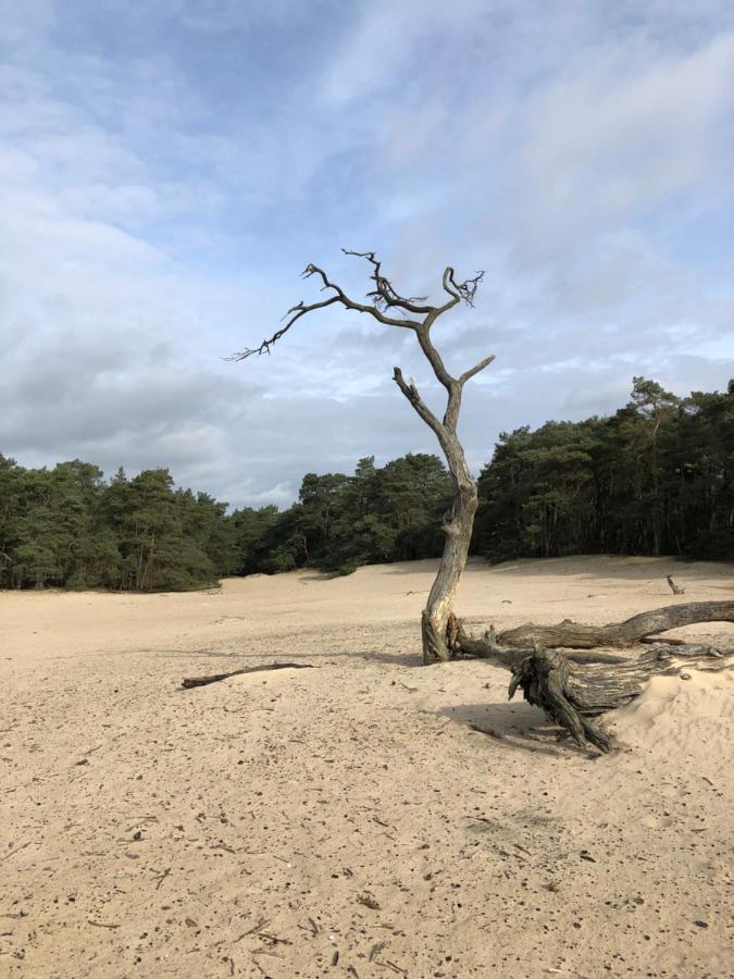 Willa Bonte Specht Otterlo Zewnętrze zdjęcie